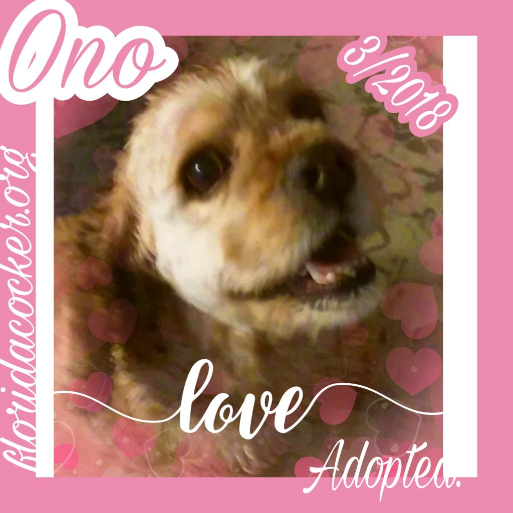 Ono - Adopted