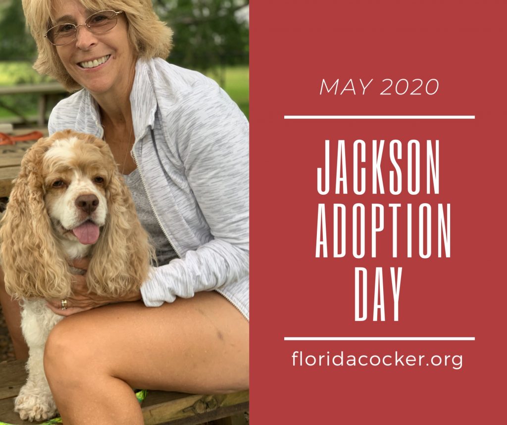 Jackson Adopt
