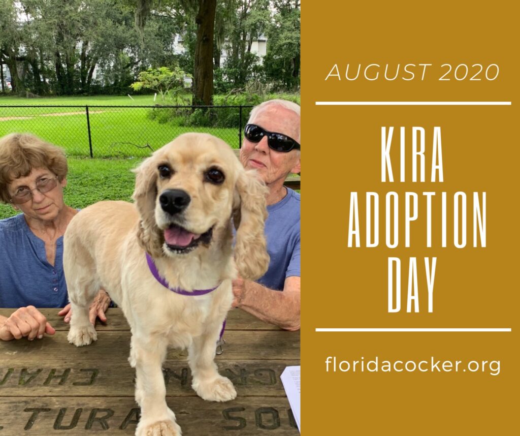 Kira Adopt