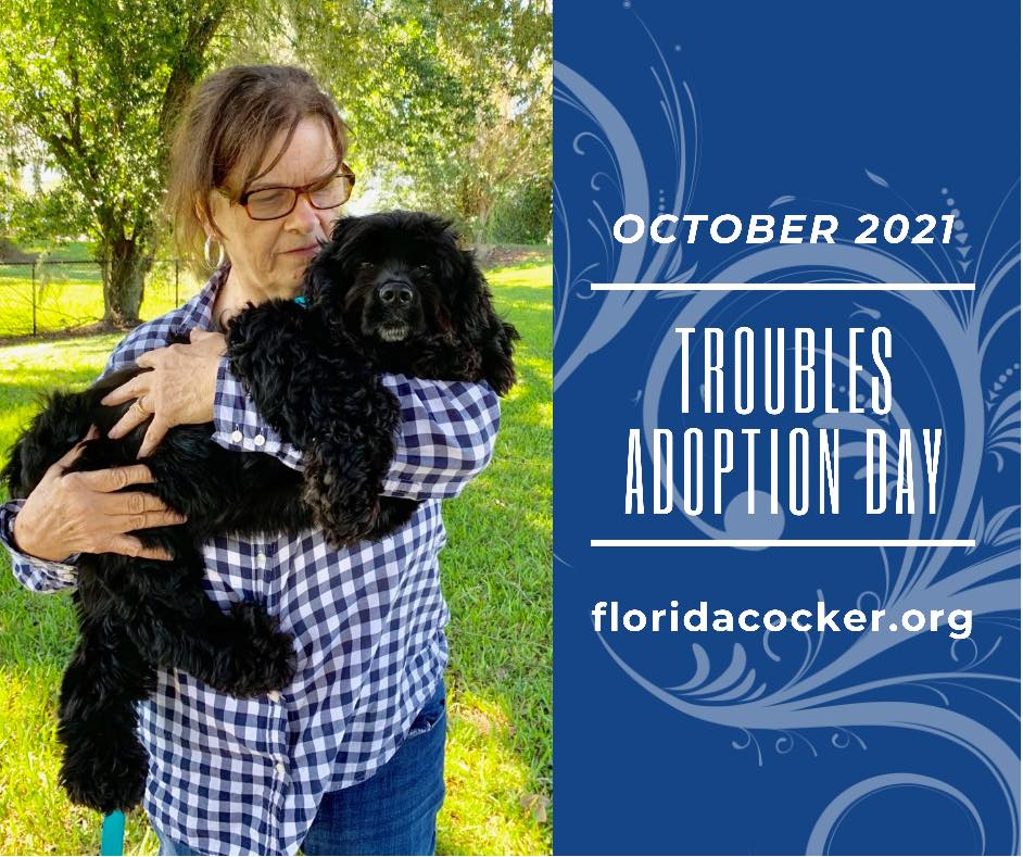 Troubles Adopt