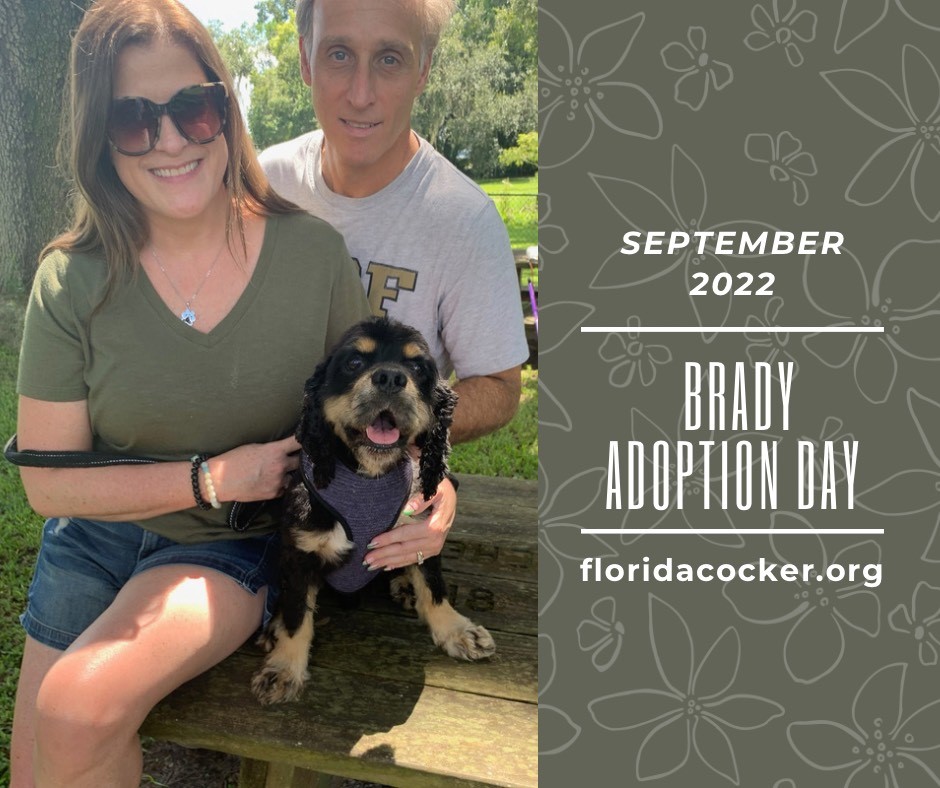 Brady Adopt