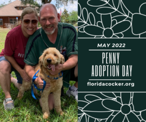 Penny Adopt