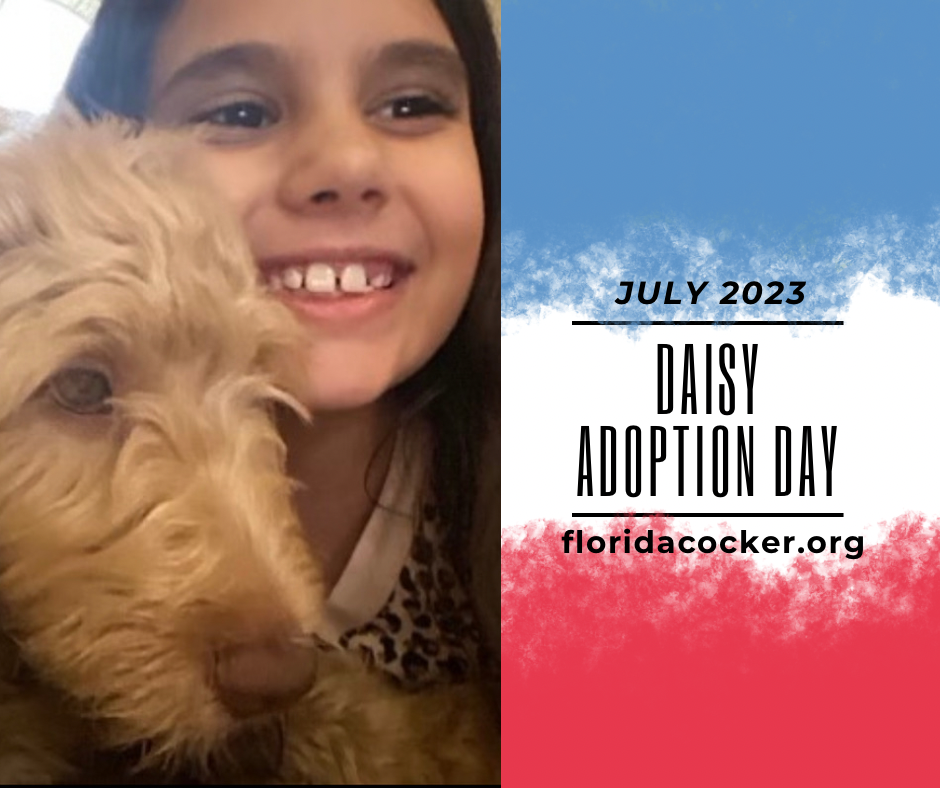 Daisy Adopt