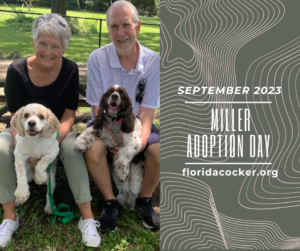 Miller Adopt