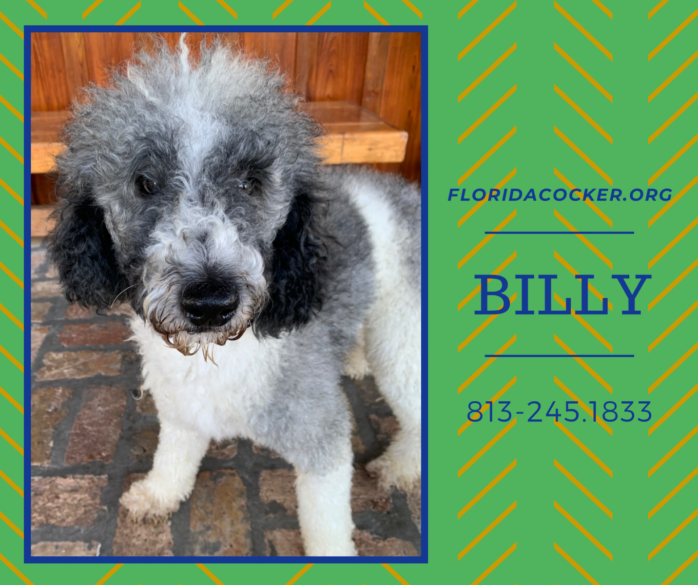 Billy