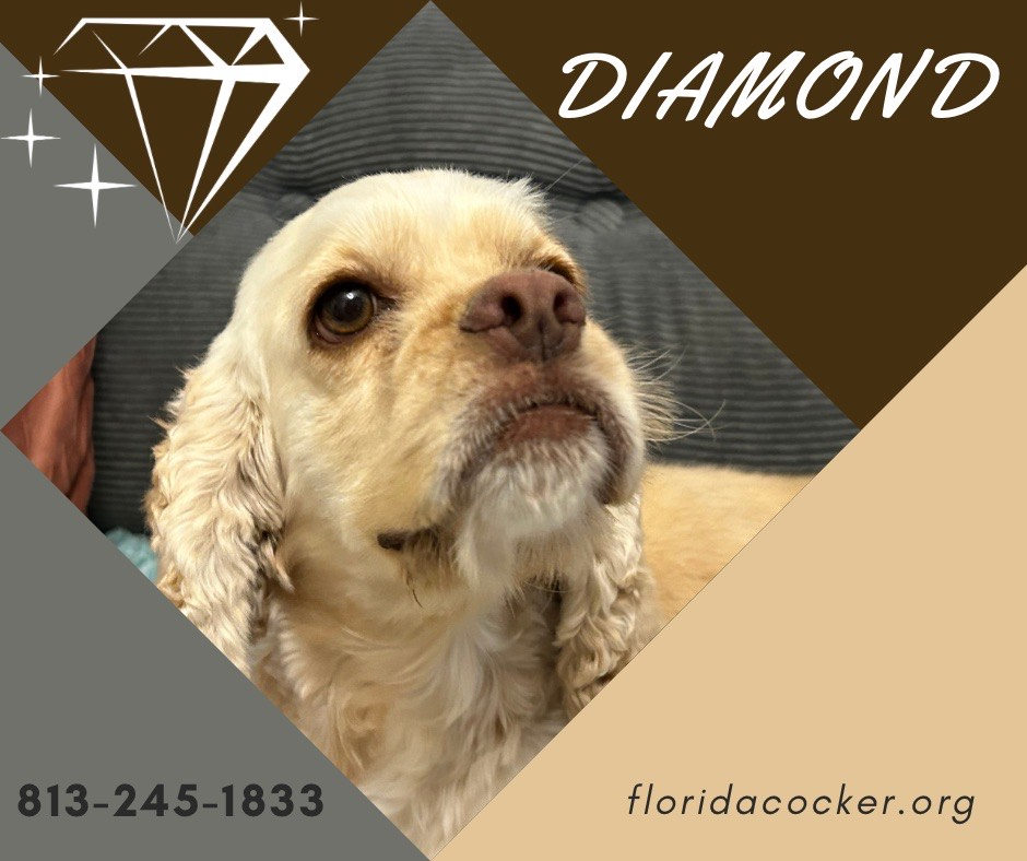 Diamond