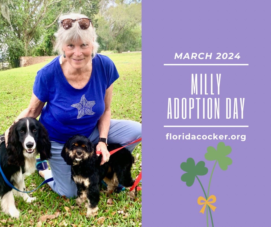 Milly Adopt