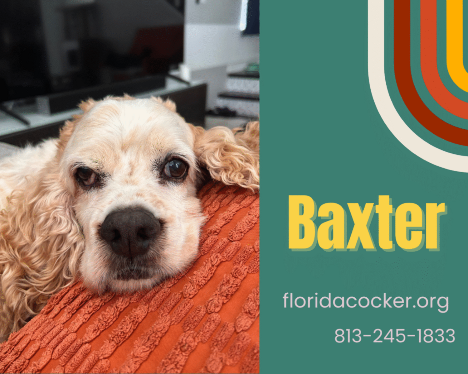 Baxter
