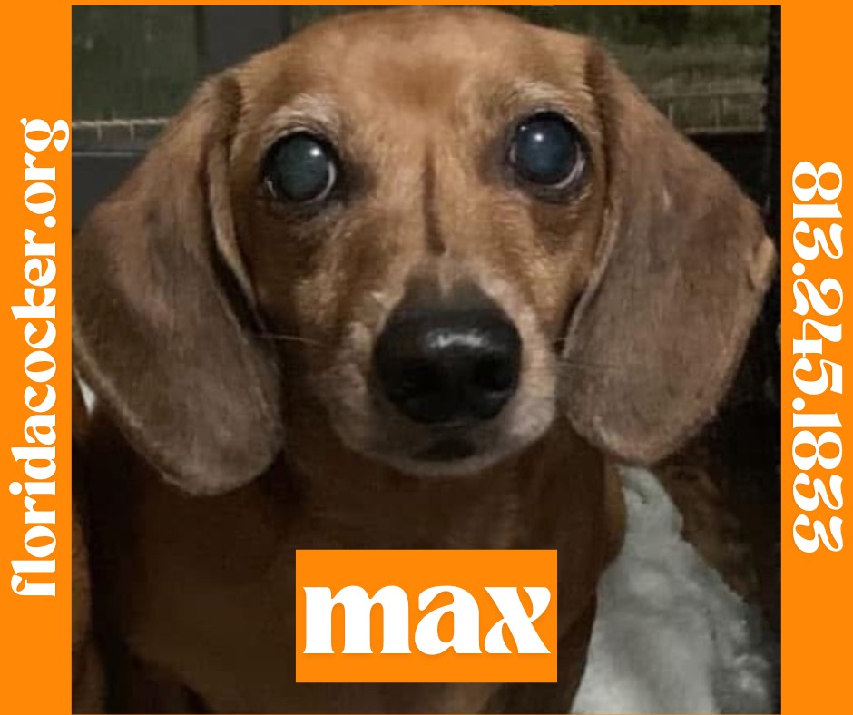 Max