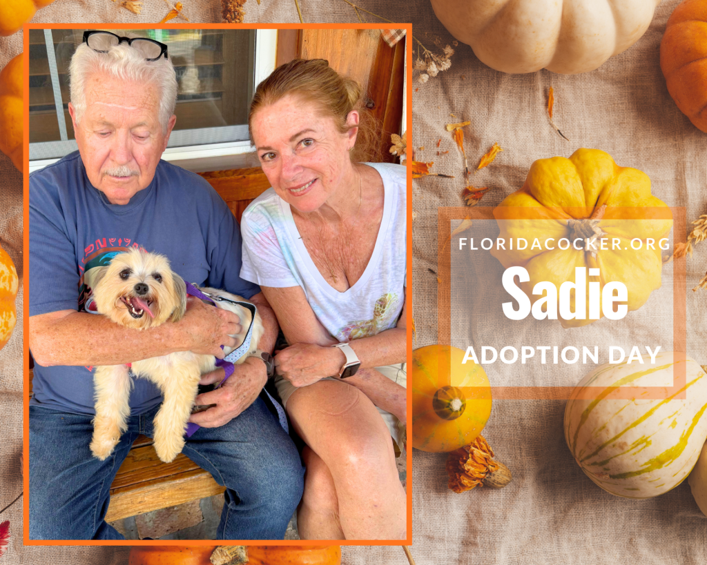 Sadie Adopt