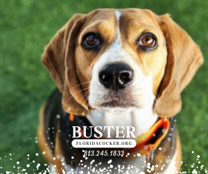 Buster