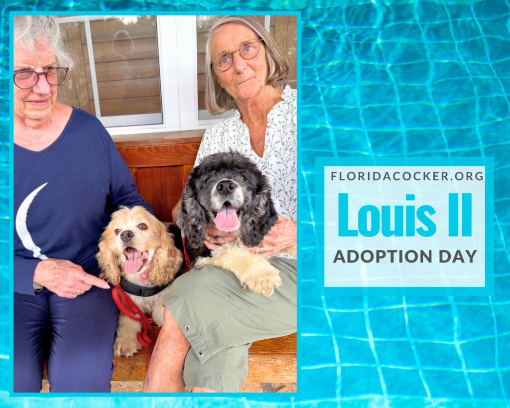 Louis Ii Adopt