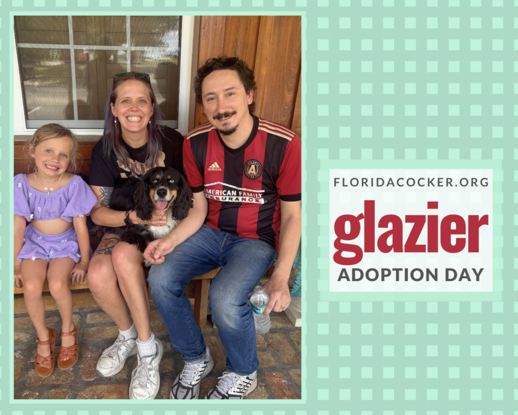 Glazier Adopt