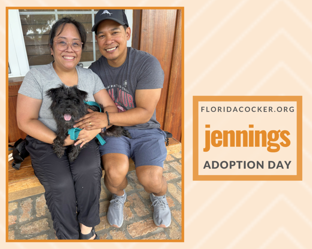 Jennings Adopt