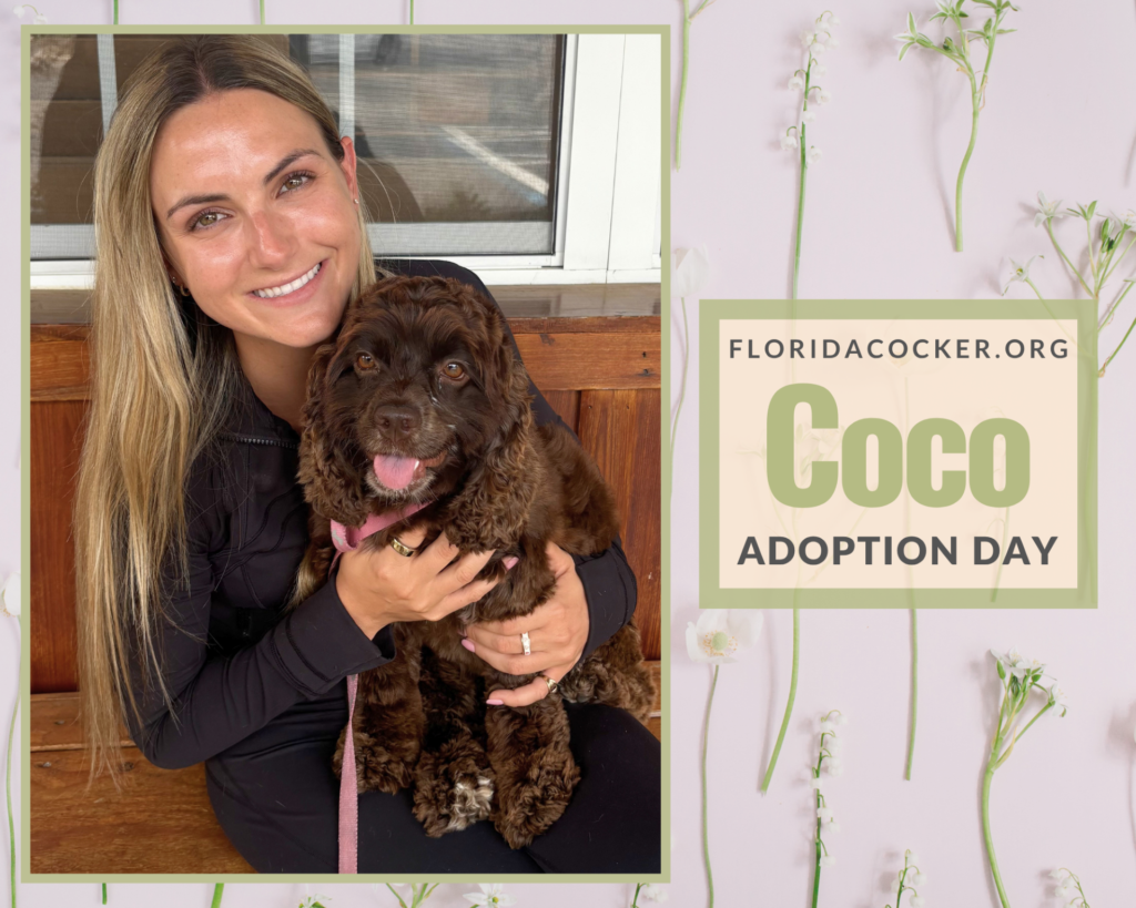 Coco Adopt